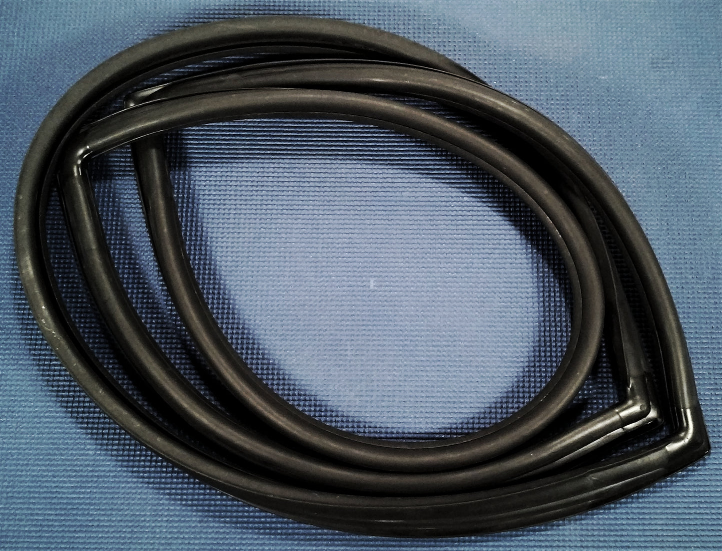 1979-1982 DODGE D50 MIGHTY MAX ARROW PICKUP TRUCK FACTORY O.E. WINDSHIELD SEAL