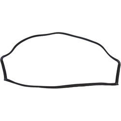 1959 Edsel Corsair Windshield Seal
