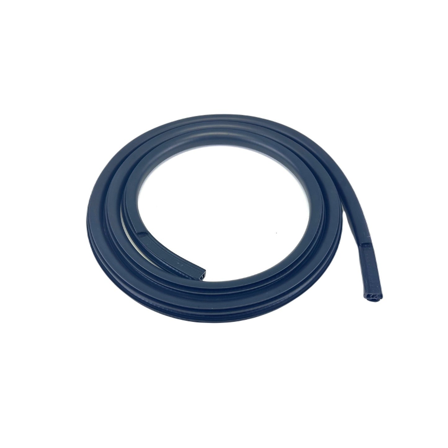 2015-2020 Ford F150 Door Seal on Body, Rear - Crew Cab