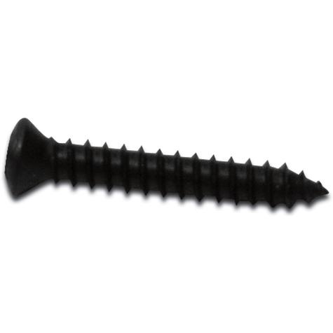 1984-96 Chevrolet Corvette; Inside Mirror Mounting Screw