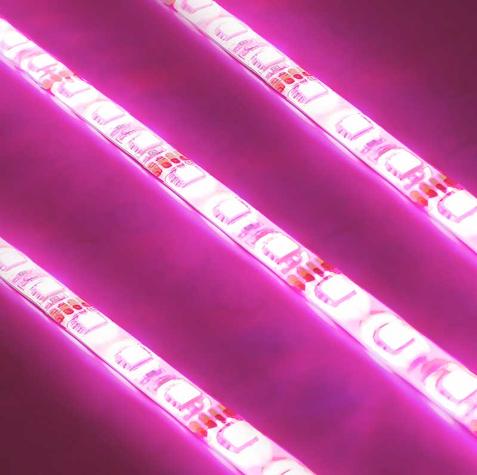 Universal Engine Bay LED Lighting Kit - Pink