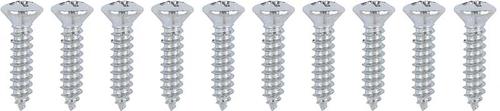 Chrome Trim Screw, #8 x 3/4", With #8 Phillips Oval Head, 10 Piece Set