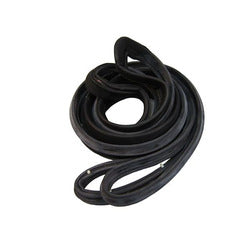 1975 Buick Apollo Rear Door Seal
