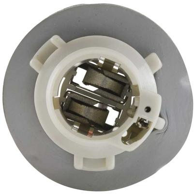1980-86 Ford Tail Lamp Socket - Various Applications