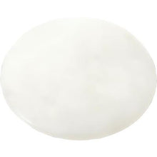 1988-94 Chevrolet, GMC Pickup, 1990-93 Corvette, 1990-05 GM Models; Glove Box Courtesy Lamp Lens
