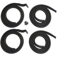 1954-1955 Buick Century Door Hinge Seal Set