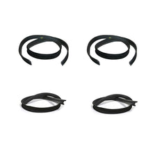 1981-1993 Dodge D250 Pickup Glass Run Window Channel Kit