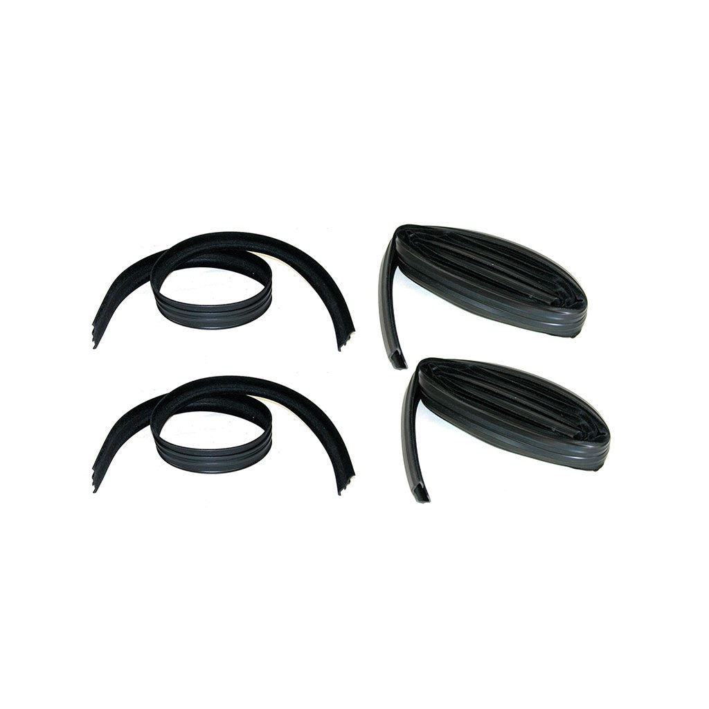 1961-1971 Dodge D300 Pickup Glass Run Window Channel Kit