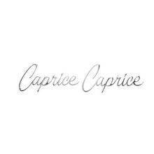 Trim Parts 1965-67 Chevrolet Full Size Car Front Fender "Caprice" Emblem W/Fasteners, Pair - (2430)