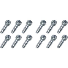 1968-74 B-Body; 1971 Barracuda; 1970-74 Challenger; Dodge; Plymouth; Headlight Bulb Retaining Ring Screw Set; Zinc Plate