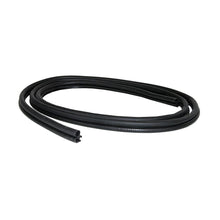 1996-2005 Chevrolet Express Door Seal