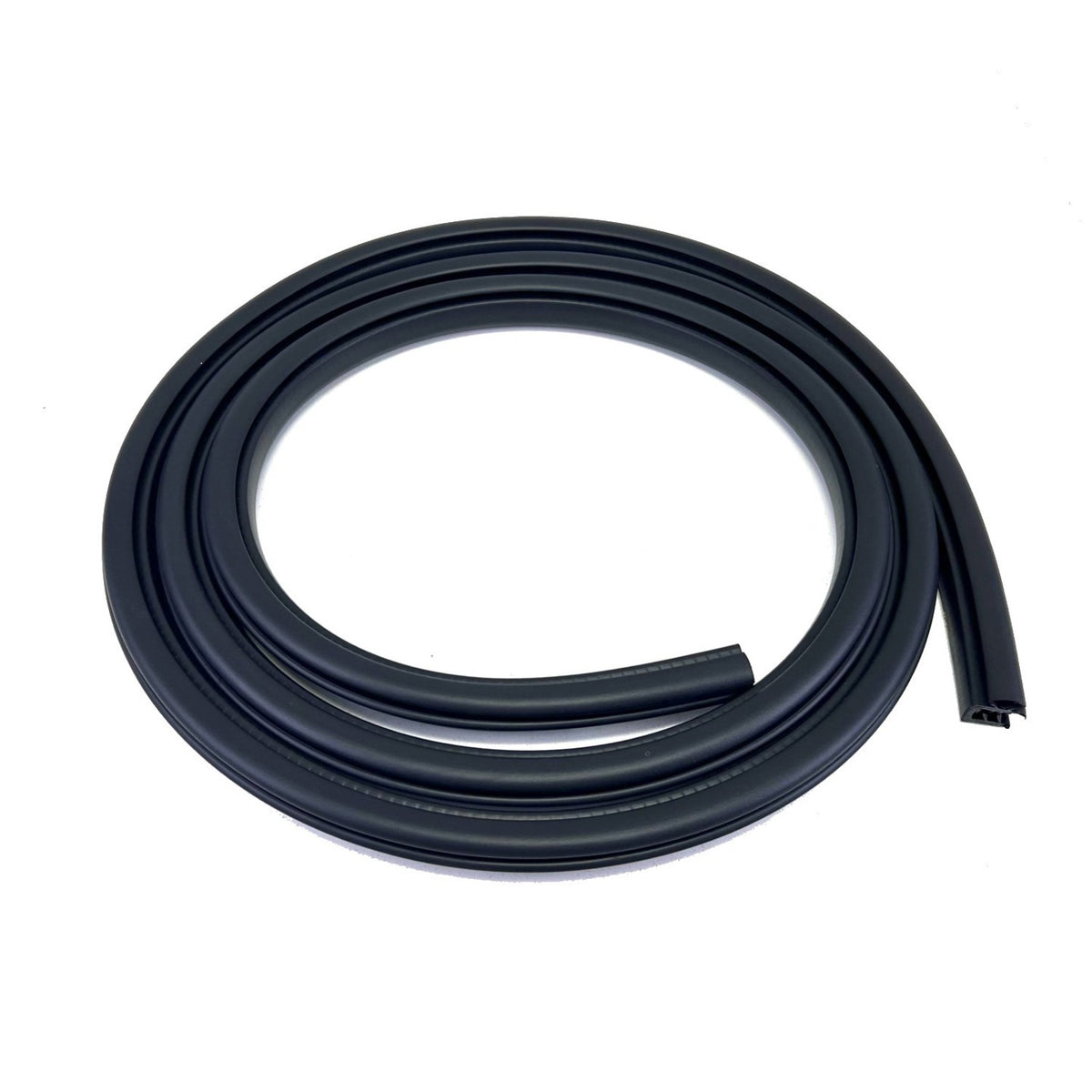 2015-2020 Ford F150 Crew Cab Door Seal on Body, Front