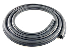 2004 Ford F-150 Crew Cab Door Seal On Body