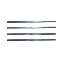 1972-1979 Dodge Fullsize Pickup Belt Weatherstrip Kit