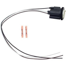 Park Lamp Socket Assembly