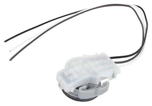 Park Lamp Socket Assembly