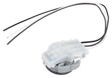 Park Lamp Socket Assembly
