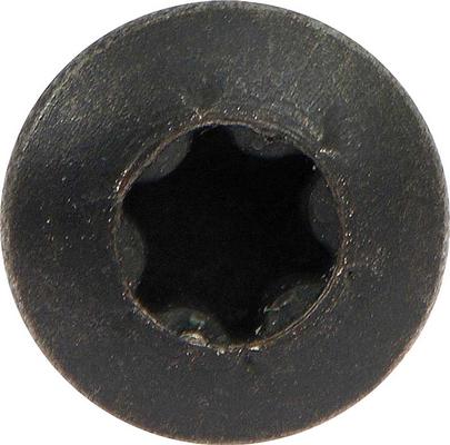 GM Torx Head Screw - Various Applications