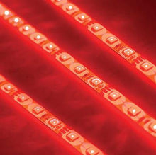 Universal Oracle Grill Lighting Kit with Single Color LED - Red