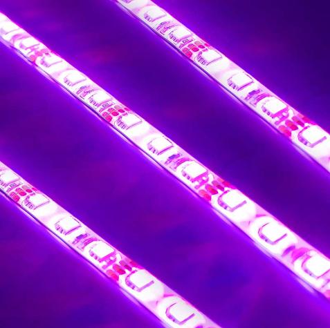 Universal Engine Bay LED Lighting Kit - Purple