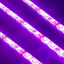 Universal Engine Bay LED Lighting Kit - Purple