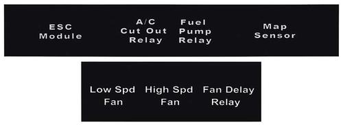 1986-87 Turbo Regal Relay Name Plates