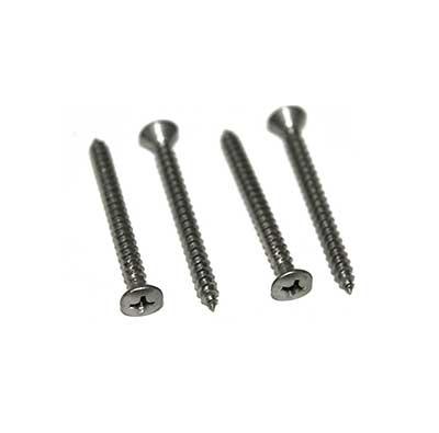 1970 Mustang; Headlamp Door Mounting Screws; Stainless Steel; 4 Piece