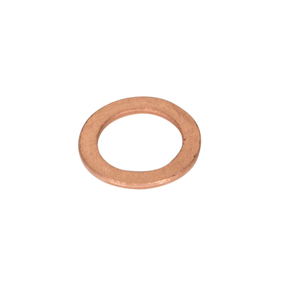 Banjo Fitting Washer 10MM