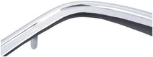 1969 Dodge Charger; Tail Lamp Panel End Trim; Pair