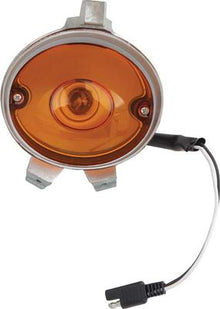 1970 Charger, 1970-74 Challenger; Park Lamp Assembly; Drivers Side