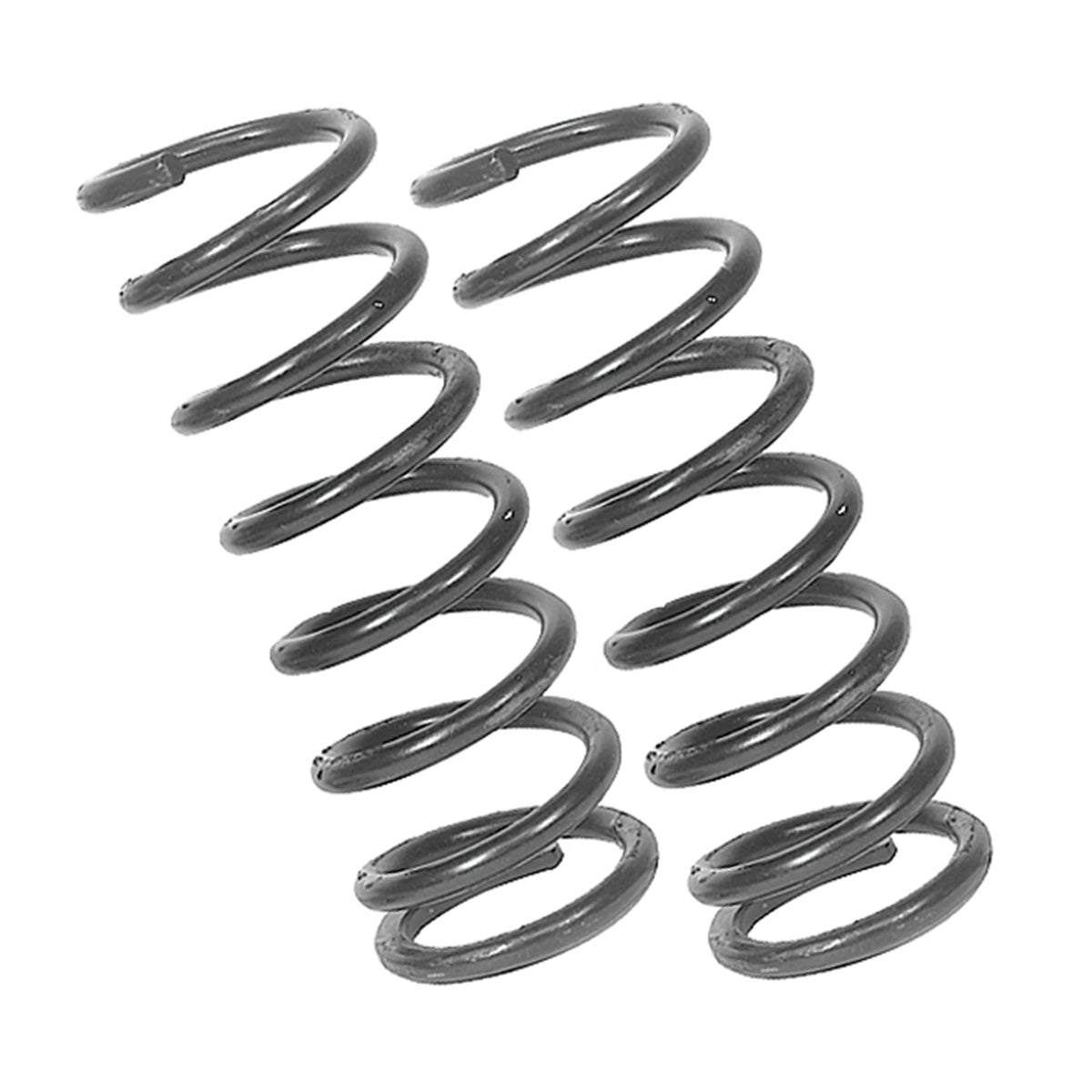 13" Springs & Stock Shocks