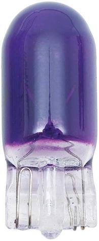 Purple 194 Bulb