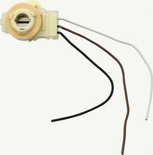 Light Bulb Socket