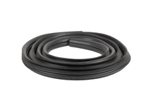 2002 - 2009 Dodge Ram 1500, 2500, 3500 | 2 or 4 Door Crew and Standard Door Seal