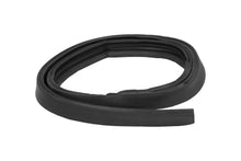 1966 - 1967 Chevrolet - Chevy II - 2 Door Hardtop Passenger Roofrail Seal