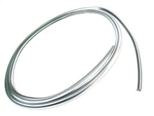 1972 - 1986 Dodge D & W Series Glass Seal Rear Lock Strip